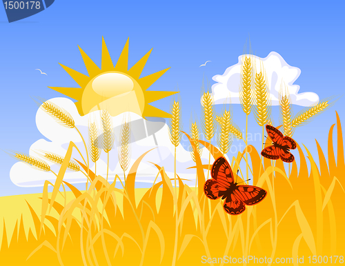 Image of Wheat field
