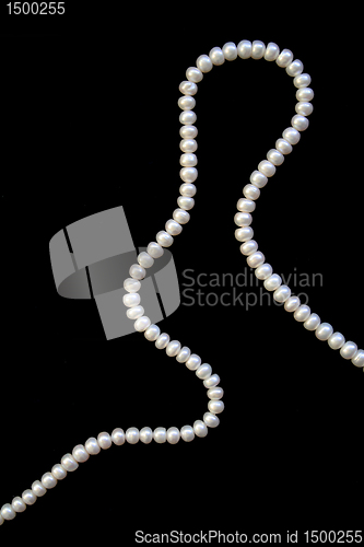 Image of White pearls on the black silk as background 