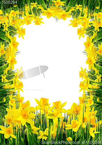Image of Spring flowers and grass