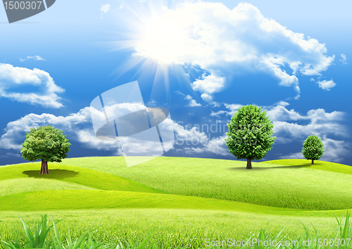 Image of green glade