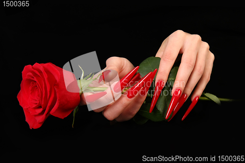 Image of Human fingers with long fingernail and beautiful manicure isolated on black