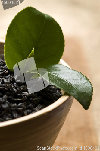 Image of Fresh and dried tea