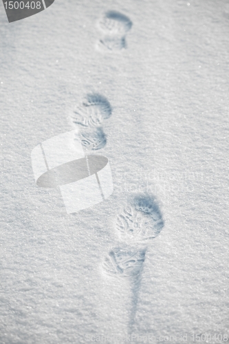 Image of Snow footprints