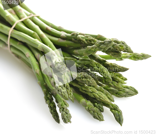 Image of Asparagus