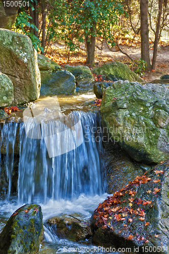 Image of Blue Water Spring