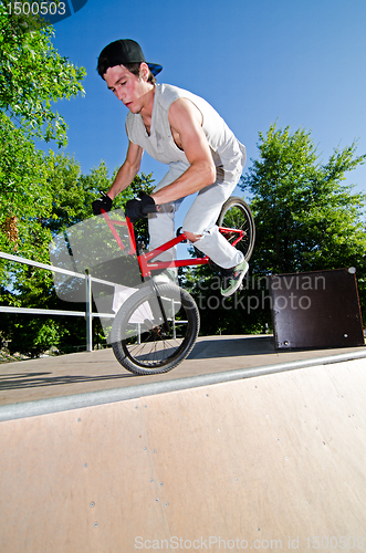 Image of BMX Bike Stunt