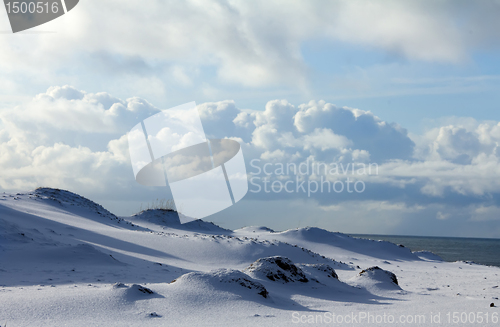 Image of Tundra in winter