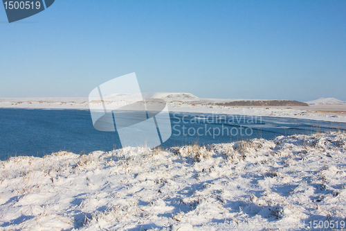 Image of Tundra in winter