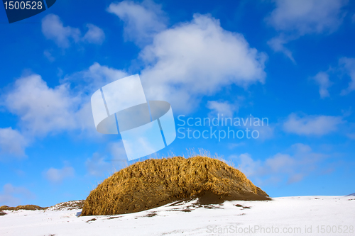 Image of Tundra in winter