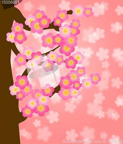 Image of Flowering Cherry Blossom Tree in Spring