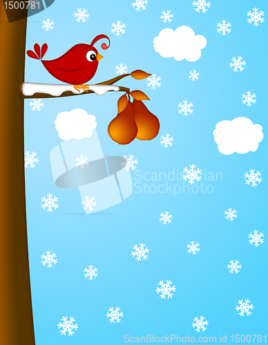 Image of Christmas Partridge on a Pear Tree Winter Scene