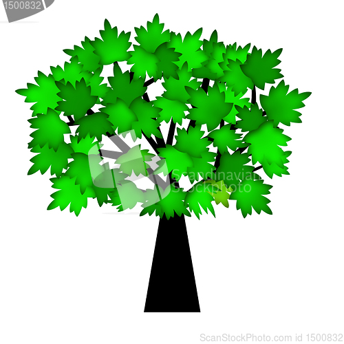 Image of Green Leaves on Tree in Summer