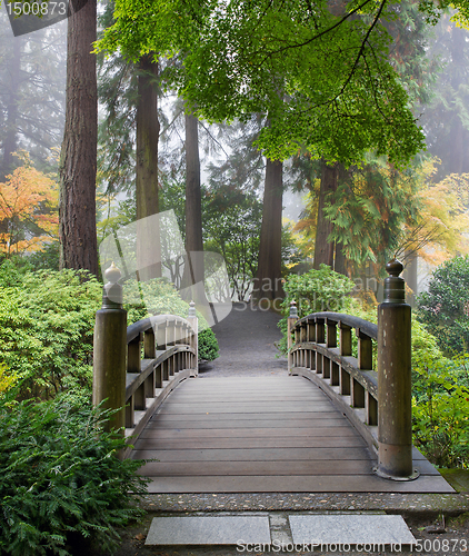 Image of Foggy Morning at Wooden Foot Bridge at Japanese Garden