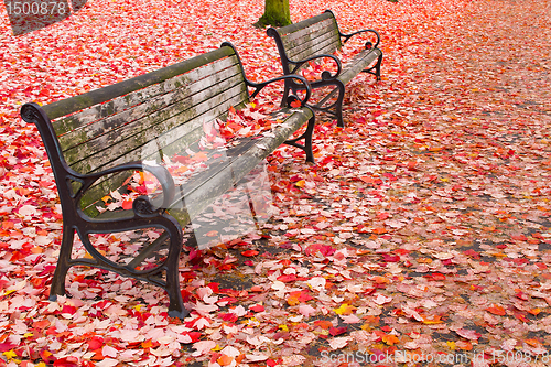 Image of Park Benches in the Fall