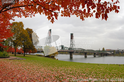 Image of Fall Colors at Portland Oregon Downtown Waterfront