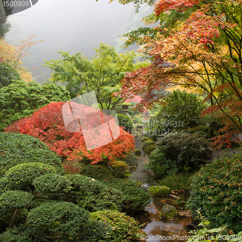 Image of Creek at Japanese Garden in the Fall