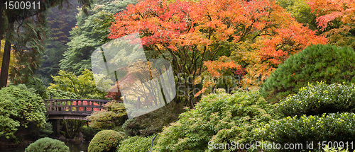 Image of Wooden Foot Bridge at Japanese Garden in Fall