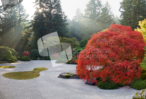 Image of Sun Beams at Japanese Flat Sand Zen Garden