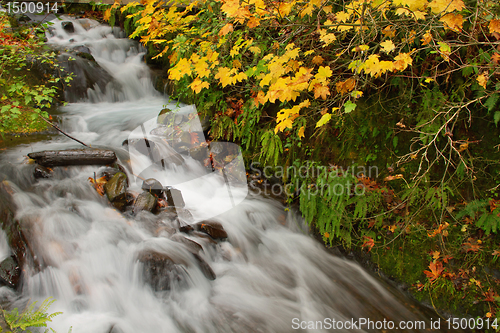 Image of Wahkeena Falls at Columbia River Gorge in the Fall