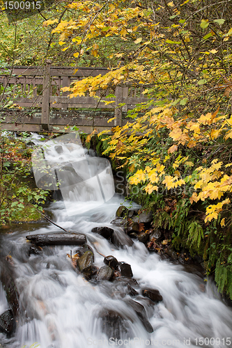 Image of Wooden Bridge over Wahkeena Creek Falls