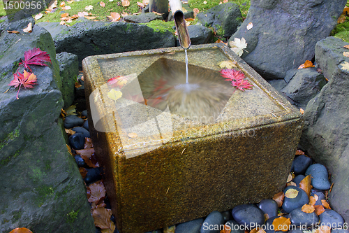 Image of Japanese Bamboo Fountain with Stone Basin