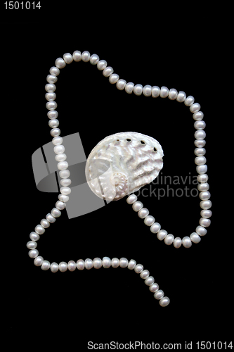 Image of White pearls and nacreous cockleshell 