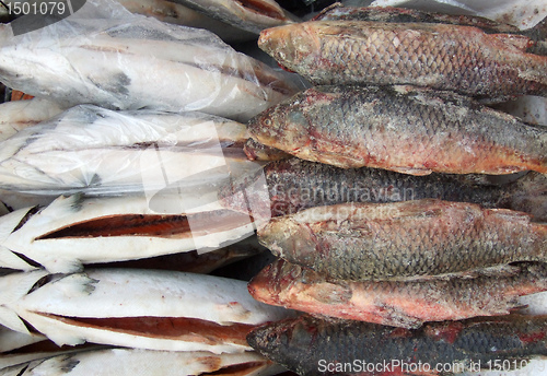 Image of frozen fish