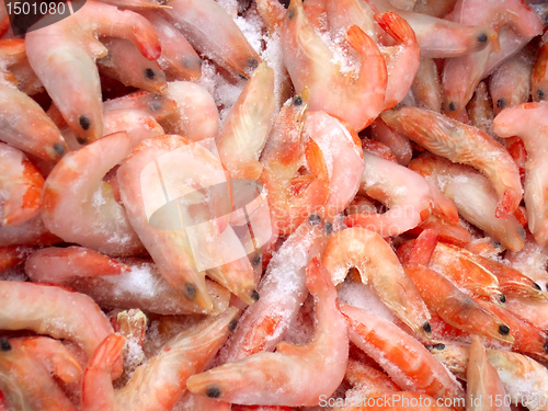 Image of frozen shrimps