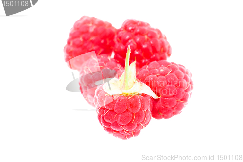 Image of Raspberry (isolated)