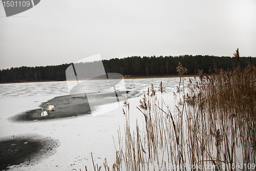 Image of Winter lake