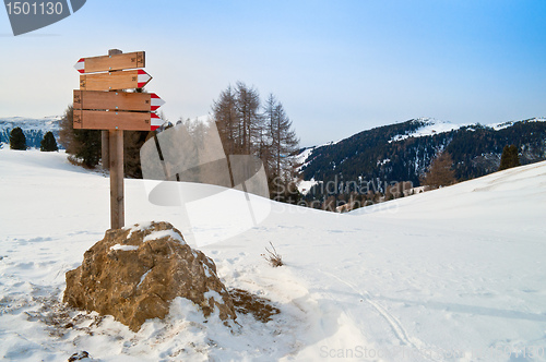 Image of Trail mark in winter