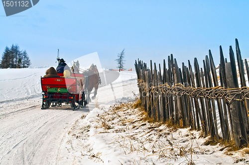 Image of Horse sledge in action in winter landscape