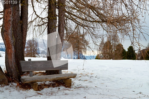 Image of Isolated wooden bench with trees in winter