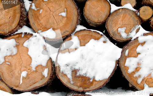 Image of Log stack lumber with snow