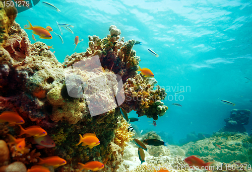 Image of Lagoon panorama