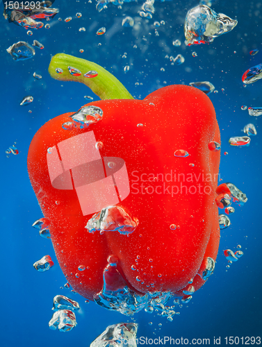 Image of cayenne underwater with air bubbles