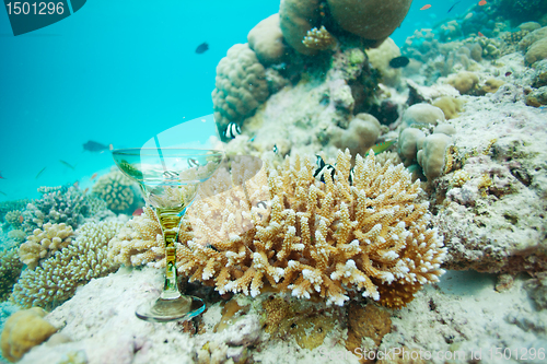 Image of Underwater cocktail