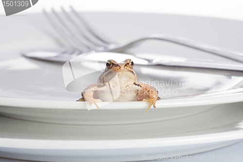 Image of Frog and diner