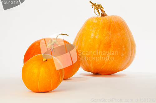 Image of Three pumpkins