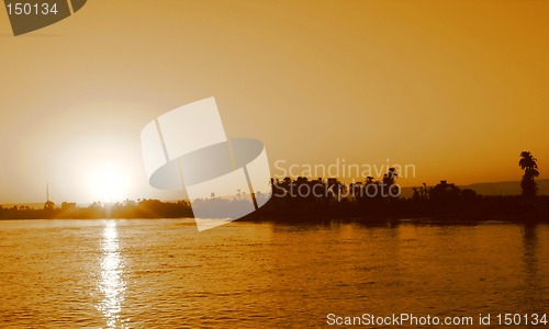 Image of Palms in the sunset