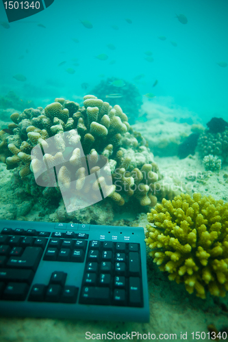 Image of Internet under the sea