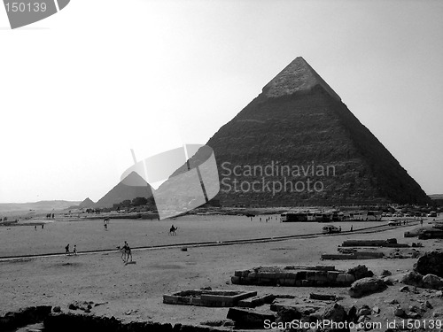 Image of Pyramids of Giza - B&W