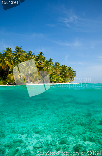 Image of Tropical island