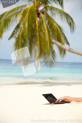 Image of Browsing internet from the beach