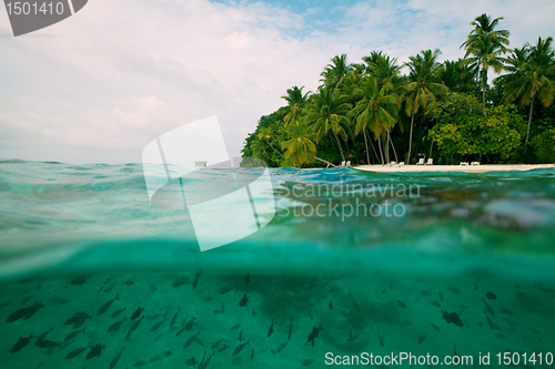 Image of Tropical island