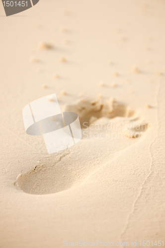 Image of Footstep in the sand