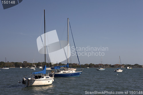 Image of yachts on the harbour