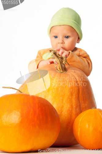 Image of Autumn baby