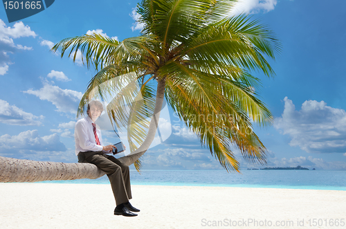 Image of Manager with tablet pc sitting on palm tree