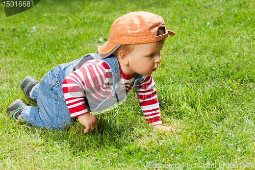 Image of Toddler crawling in the garden